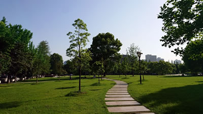 国立武汉大学