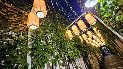青果巷